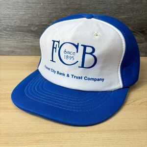 Vintage Forest City Bank Hat Cap Snapback Blue Trust Company